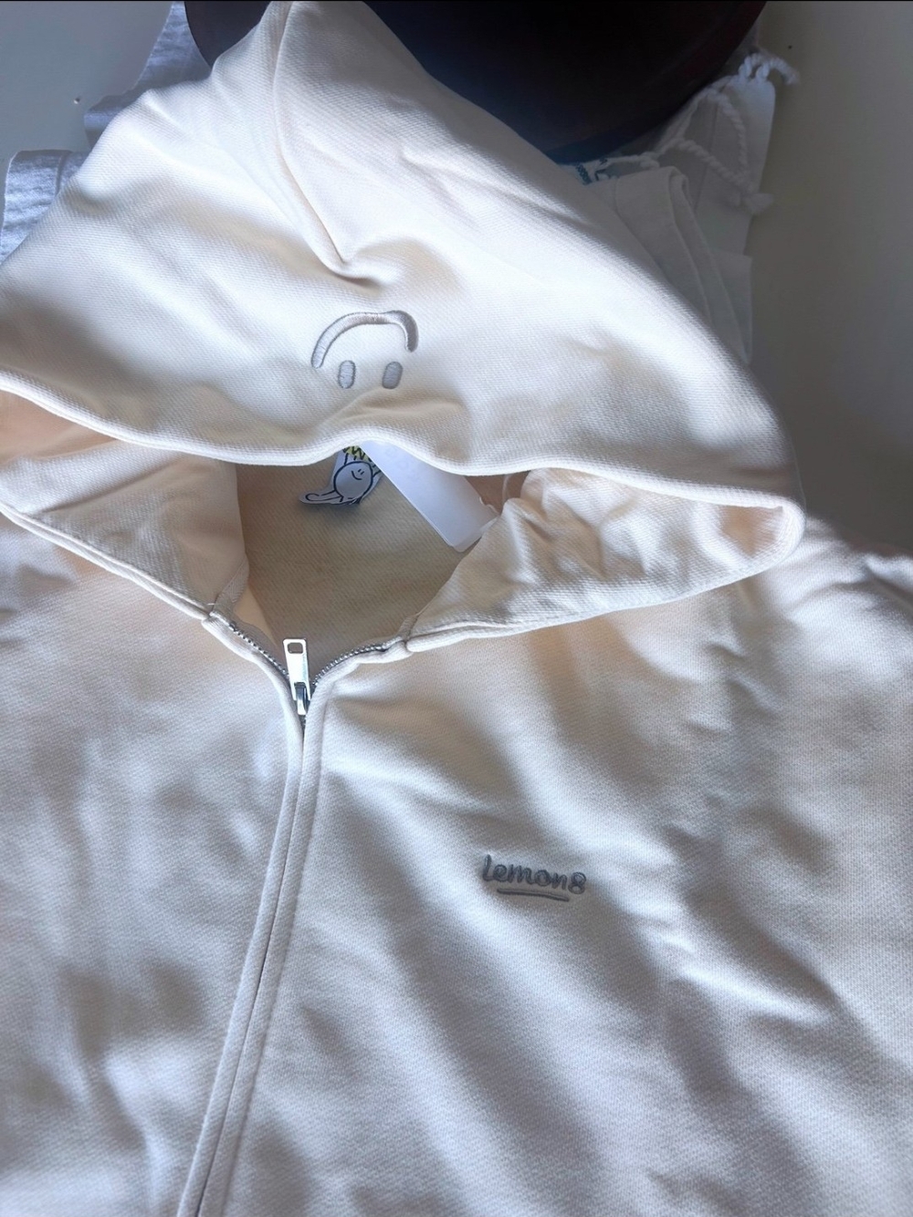 Lemon8 Promotional Net Hoodie Large